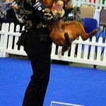 Dixie - Pet Plan Junior Stakes Winner 2010