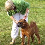 Dixie winning Open Dog at Driffield 2012