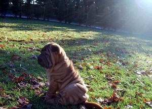 Pinch in the park