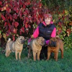 Dixie, Inchi, Tippi and me - Oct 2012