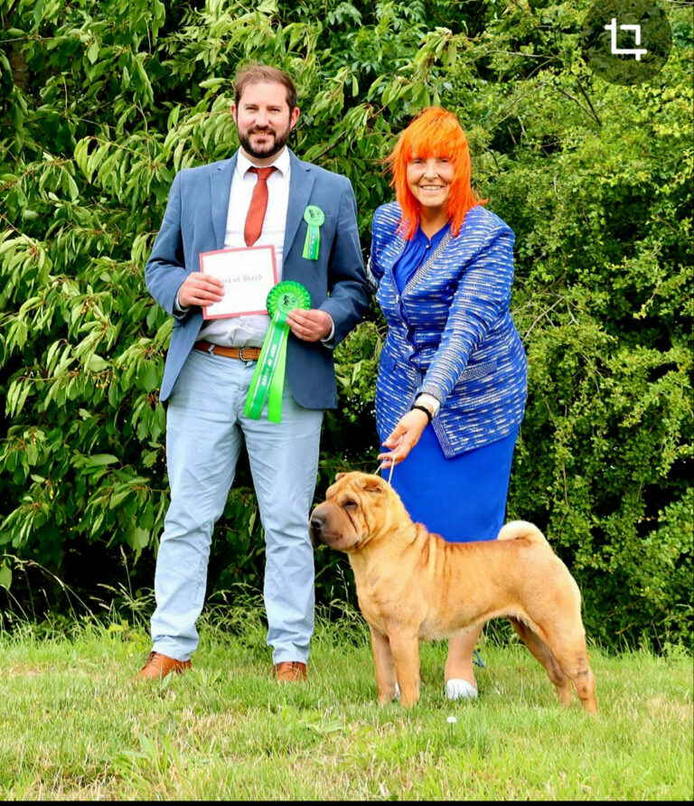 Boobie wins Best of Breed at East of England