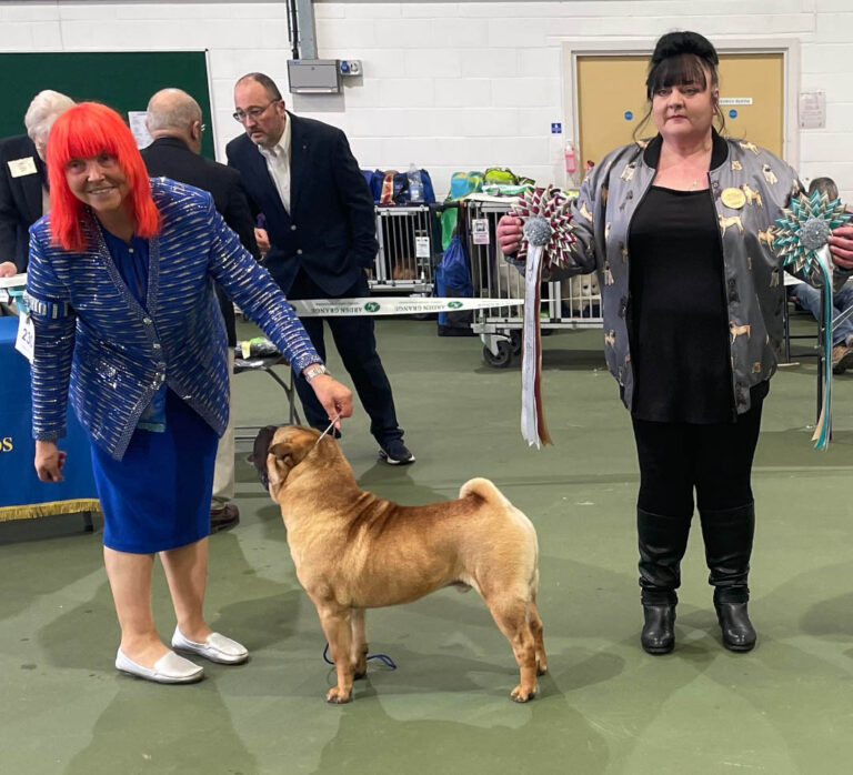 Crufts 2024
