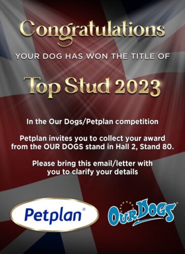 Stud Dog Competition 2023