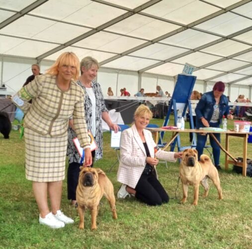 Tarquin Best in Show